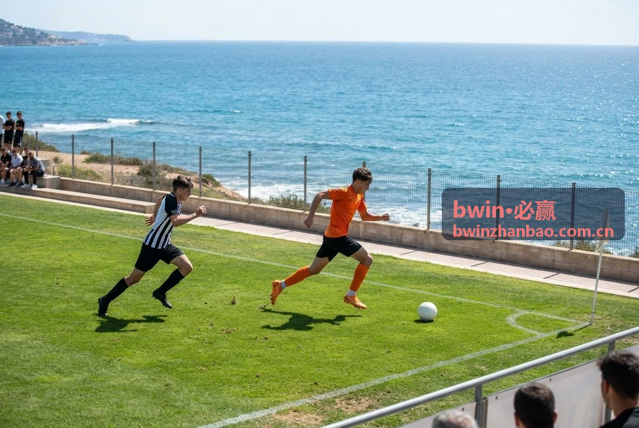 bwin·必赢新手攻略操作指南