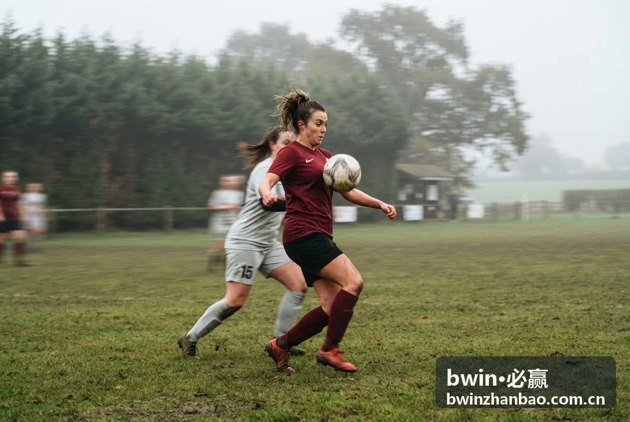 bwin·必赢新手攻略资源推荐